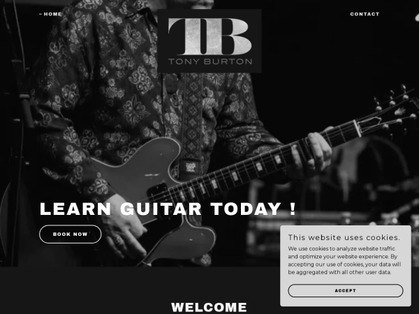 Screenshot of www.tonyburtonguitar.com